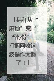秸秆从“麻烦”变“香饽饽” 打捆回收这波操作太赚了！