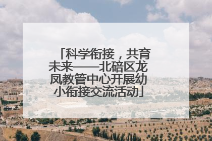 科学衔接，共育未来——北碚区龙凤教管中心开展幼小衔接交流活动