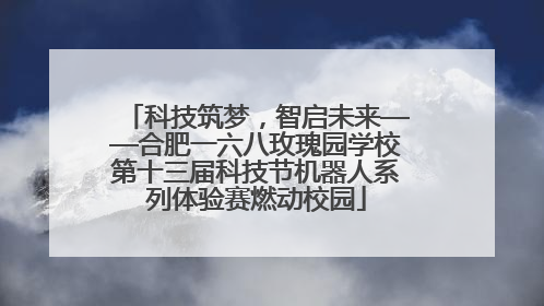 科技筑梦，智启未来——合肥一六八玫瑰园学校第十三届科技节机器人系列体验赛燃动校园