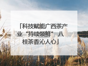 科技赋能广西茶产业“持续领鲜” 八桂茶香沁人心