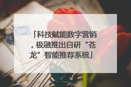 科技赋能数字营销，极融推出自研“苍龙”智能推荐系统
