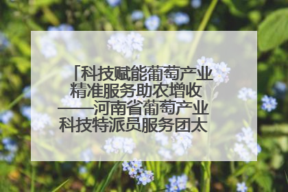 科技赋能葡萄产业 精准服务助农增收——河南省葡萄产业科技特派员服务团太康县科技服务纪实