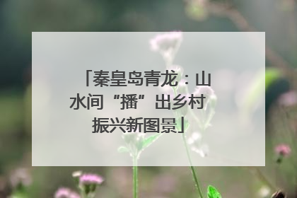 秦皇岛青龙：山水间“播”出乡村振兴新图景
