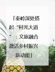 秦岭深处搭起“村光大道”：文旅融合激活乡村振兴新动能