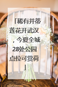 稀有并蒂莲花开武汉，今夏全城28处公园点位可赏荷