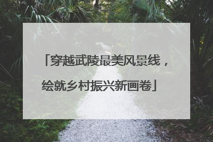 穿越武陵最美风景线，绘就乡村振兴新画卷