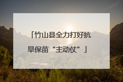 竹山县全力打好抗旱保苗“主动仗”