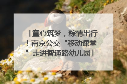 童心筑梦，粽情出行！南京公交“移动课堂”走进智通路幼儿园