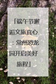 端午节邂逅文旅真心：常州恐龙园开启美好旅程
