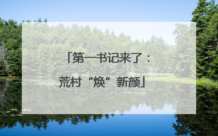 第一书记来了：荒村“焕”新颜