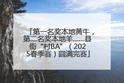 第一名奖本地黄牛，第二名奖本地羊……县街“村BA”（2025春季赛）圆满完赛