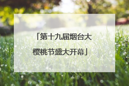 第十九届烟台大樱桃节盛大开幕