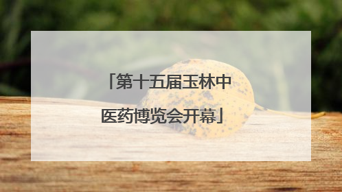 第十五届玉林中医药博览会开幕