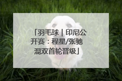 羽毛球｜印尼公开赛：程星/张驰混双首轮晋级