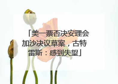 美一票否决安理会加沙决议草案，古特雷斯：感到失望
