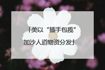 美以“插手包揽”加沙人道物资分发