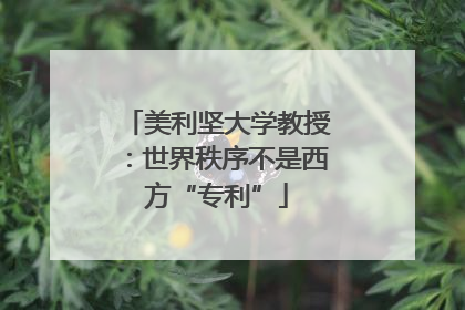 美利坚大学教授：世界秩序不是西方“专利”