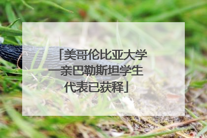 美哥伦比亚大学一亲巴勒斯坦学生代表已获释
