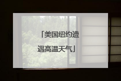 美国纽约遭遇高温天气