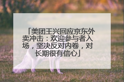 美团王兴回应京东外卖冲击：欢迎参与者入场，坚决反对内卷，对长期很有信心