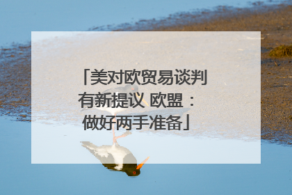 美对欧贸易谈判有新提议 欧盟：做好两手准备