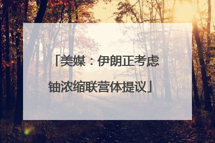 美媒：伊朗正考虑铀浓缩联营体提议