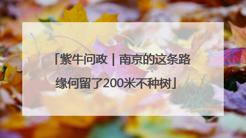 紫牛问政｜南京的这条路缘何留了200米不种树
