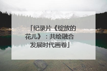 纪录片《绽放的花儿》：共绘融合发展时代画卷