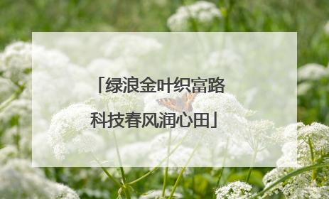 绿浪金叶织富路 科技春风润心田