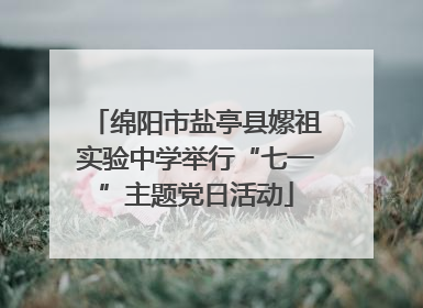 绵阳市盐亭县嫘祖实验中学举行“七一”主题党日活动