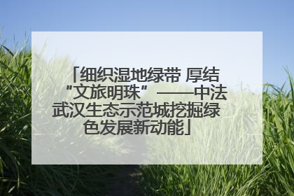 细织湿地绿带 厚结“文旅明珠”——中法武汉生态示范城挖掘绿色发展新动能