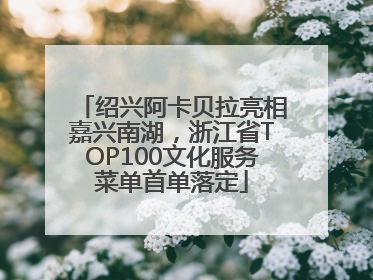 绍兴阿卡贝拉亮相嘉兴南湖，浙江省TOP100文化服务菜单首单落定