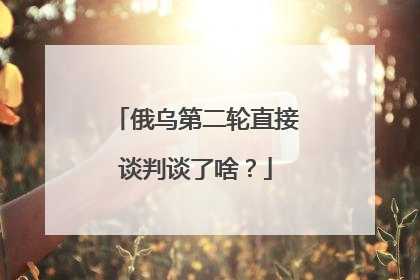 俄乌第二轮直接谈判谈了啥？