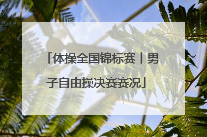 体操全国锦标赛丨男子自由操决赛赛况