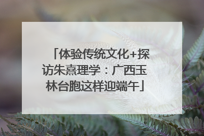 体验传统文化+探访朱熹理学：广西玉林台胞这样迎端午