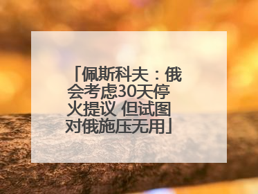 佩斯科夫：俄会考虑30天停火提议 但试图对俄施压无用