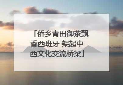 侨乡青田御茶飘香西班牙 架起中西文化交流桥梁