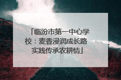 临汾市第一中心学校：麦香浸润成长路 实践传承农耕情