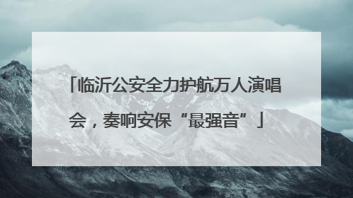 临沂公安全力护航万人演唱会，奏响安保“最强音”