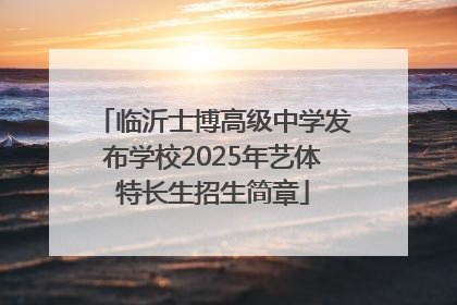 临沂士博高级中学发布学校2025年艺体特长生招生简章