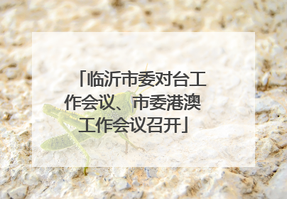 临沂市委对台工作会议、市委港澳工作会议召开