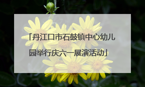 丹江口市石鼓镇中心幼儿园举行庆六一展演活动