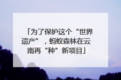 为了保护这个“世界遗产”，蚂蚁森林在云南再“种”新项目