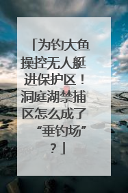 为钓大鱼操控无人艇进保护区！洞庭湖禁捕区怎么成了“垂钓场”？