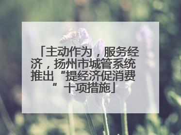 主动作为，服务经济，扬州市城管系统推出“提经济促消费”十项措施