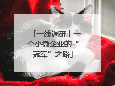 一线调研丨一个小微企业的“冠军”之路