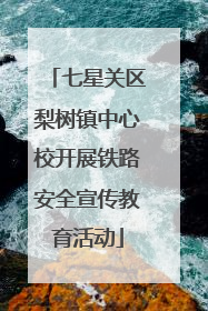 七星关区梨树镇中心校开展铁路安全宣传教育活动