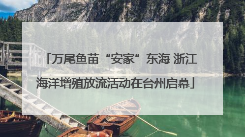 万尾鱼苗“安家”东海 浙江海洋增殖放流活动在台州启幕