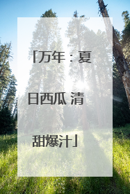万年：夏日西瓜 清甜爆汁