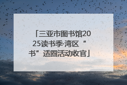三亚市图书馆2025读书季·湾区“书”适圈活动收官